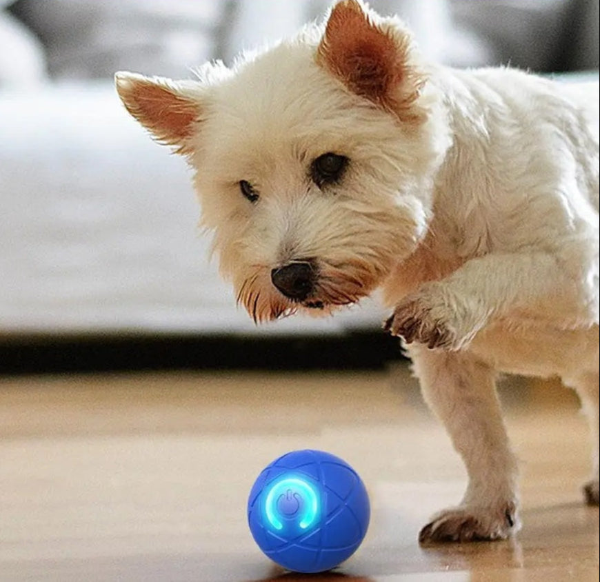 InteractiveBall β Rechargeable Interactive Pet Toy Ball